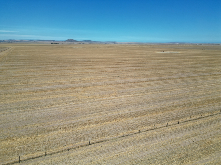 5 Bedroom Property for Sale in Darling Western Cape